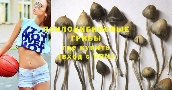 прущая мука Алексин