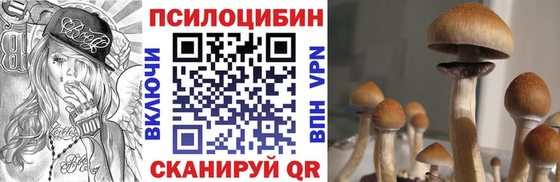 купить наркотики сайты  Дно  Псилоцибиновые грибы ЛСД 